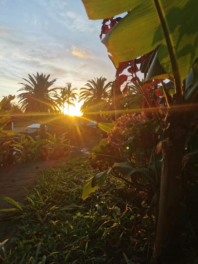 Hostal Tu'U Koihu 汉格罗阿 外观 照片