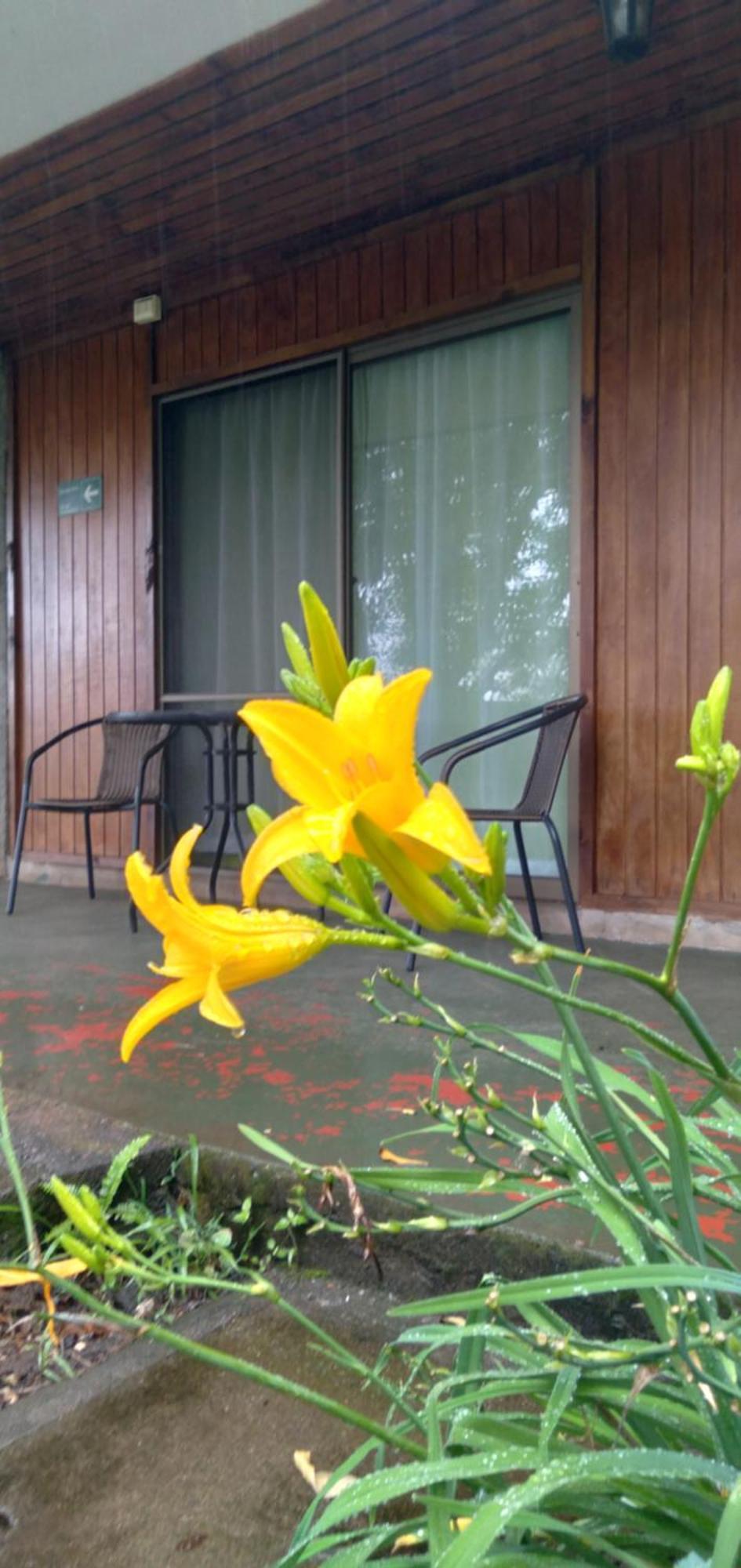 Hostal Tu'U Koihu 汉格罗阿 外观 照片
