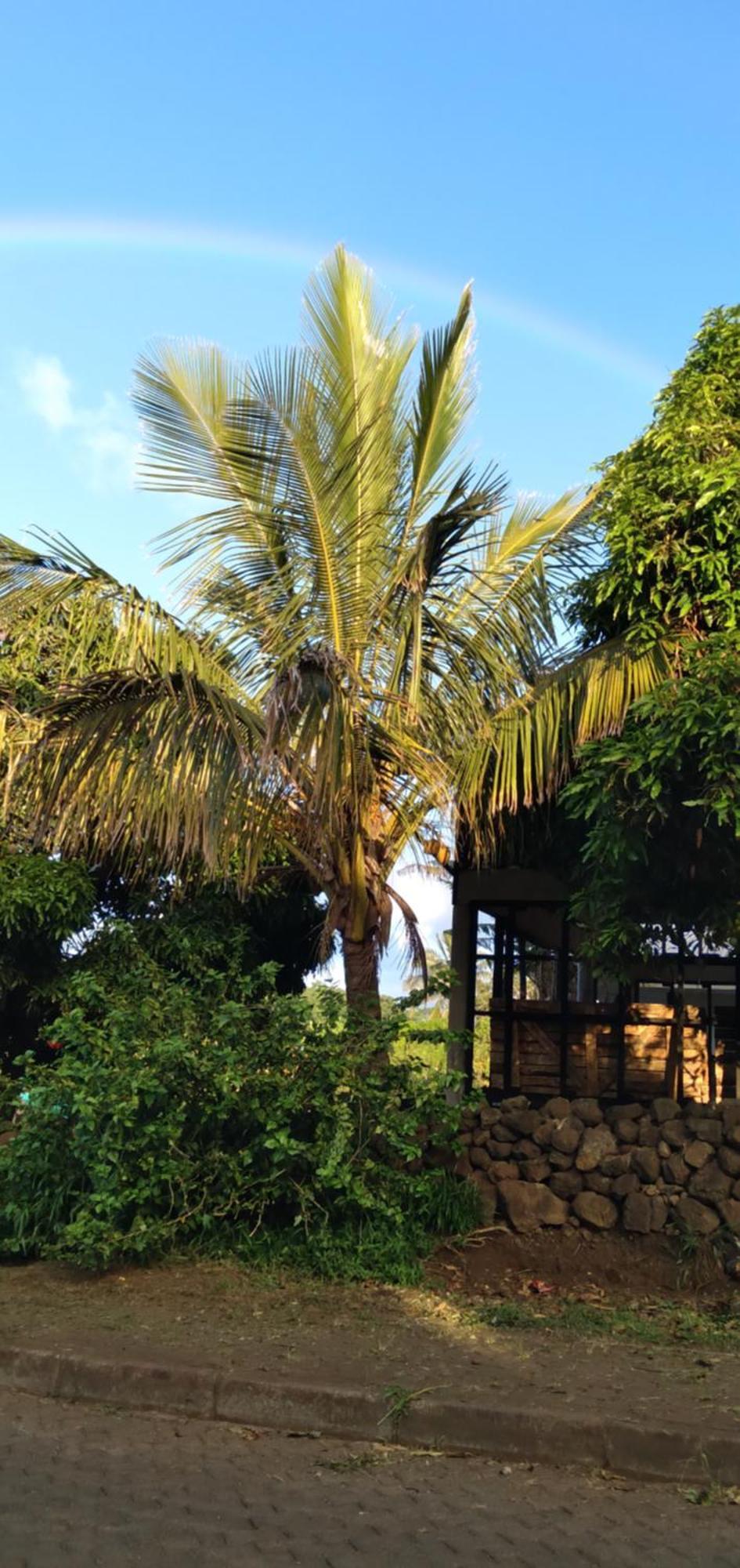 Hostal Tu'U Koihu 汉格罗阿 外观 照片