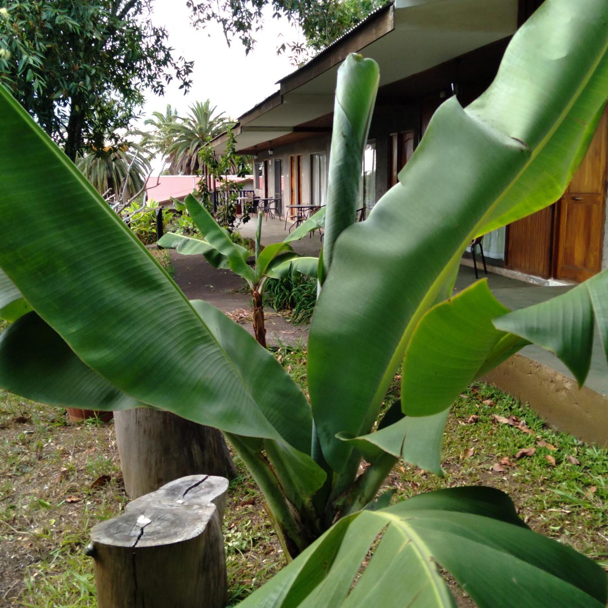 Hostal Tu'U Koihu 汉格罗阿 外观 照片