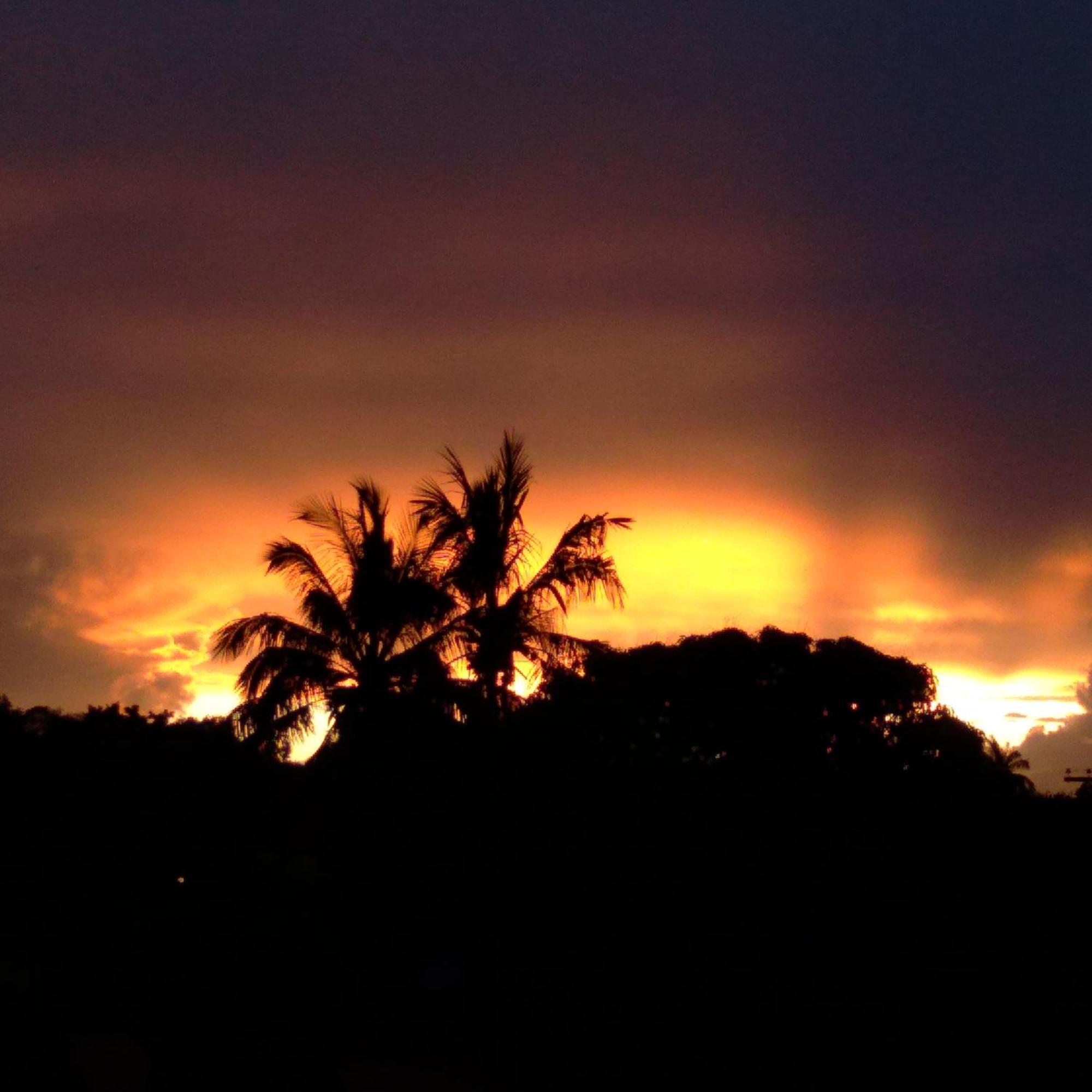 Hostal Tu'U Koihu 汉格罗阿 外观 照片